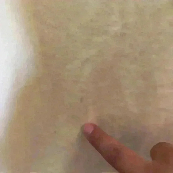 COLUMBIA PASTEL LIGHT YELLOW SHORT SLEEVE T-SHIRT CAT GRAPHIC 1X - Picture 5 of 7